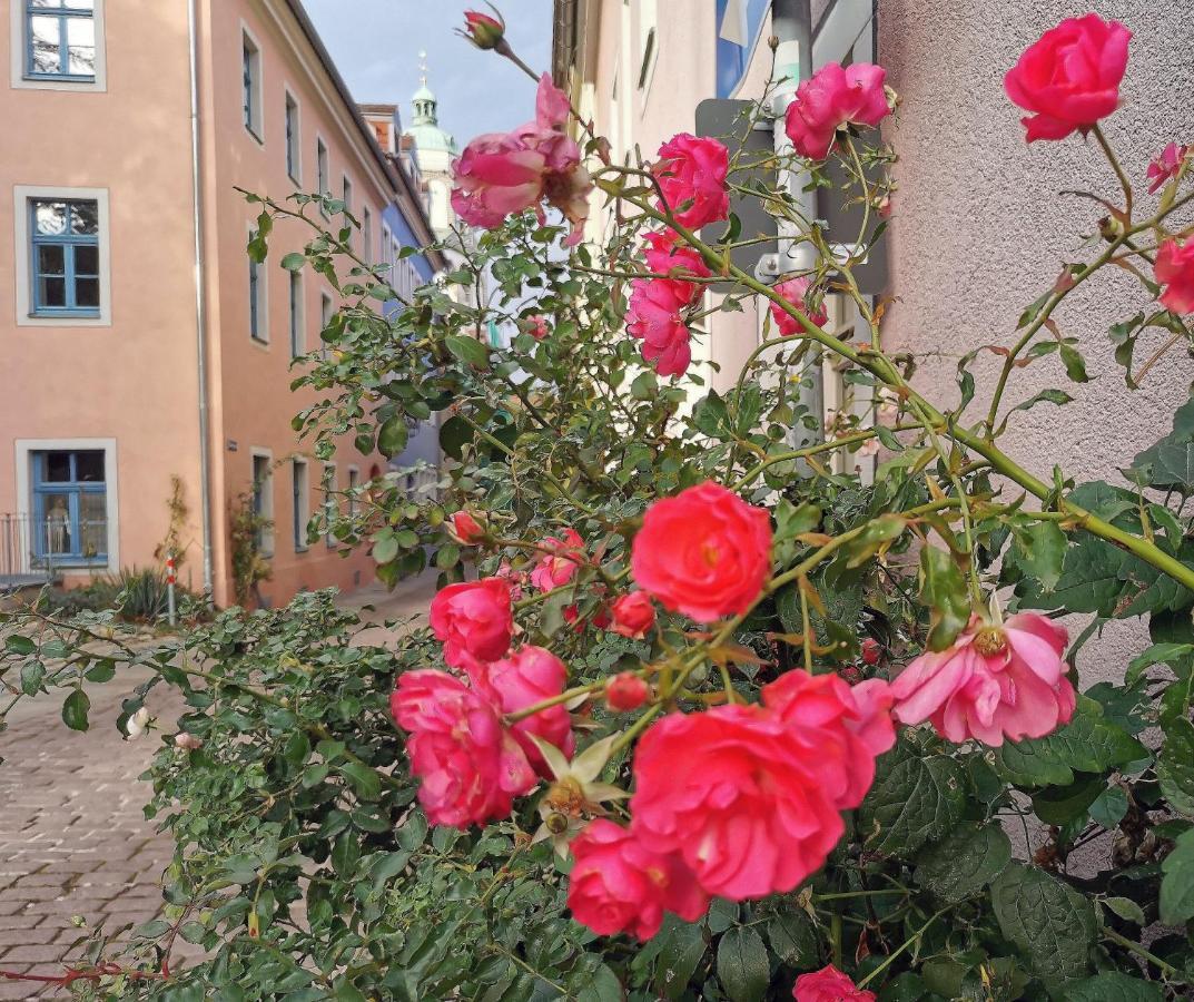 Fynbos Studio Dg In Der Altstadt, Frauenkirchenblick, Parkplatz Meißen Exteriér fotografie